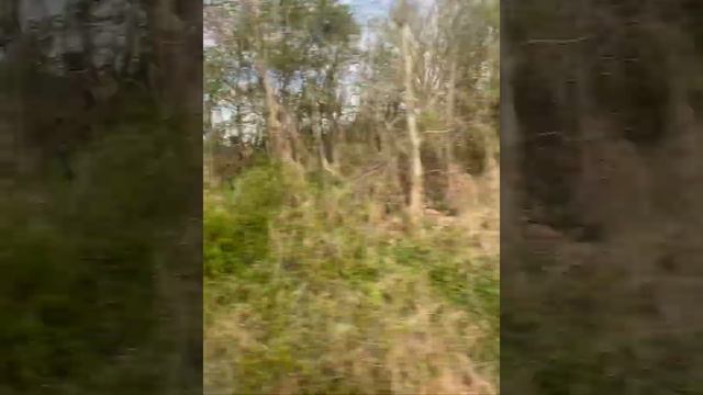 Жизнь идёт так быстро как этот поезд ну мая опустела без моего сына 😭😭 смотреть онлайн