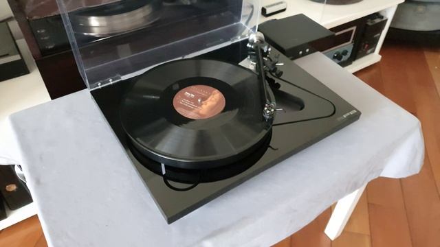 REGA RP8