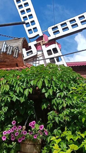 #shorts# Петербург#кафе#дворик#лето# вожу экскурсии по Петербургу смотреть онлайн