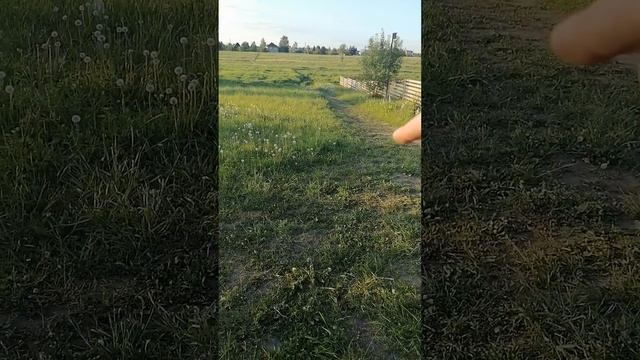 квадроцикл armour 200 и Linhay-yamaha m 200 обзор и сравнение. Армор 200 и линхай м200 . смотреть онлайн