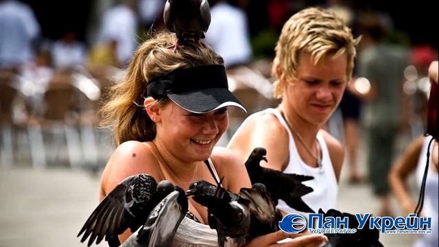 ВЕНЕЦИЯ смотреть онлайн