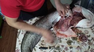 разделка сома.