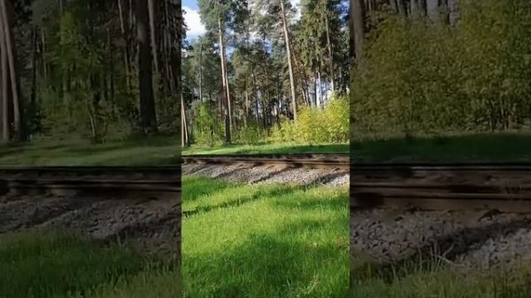 Прогулка по Кратово. Утро.