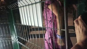 Санаторий Алушта 2024. Зашли в корпуса 1 и 5.