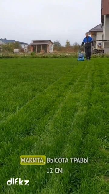 Газон Sun. Устойчивый к засухе. смотреть онлайн