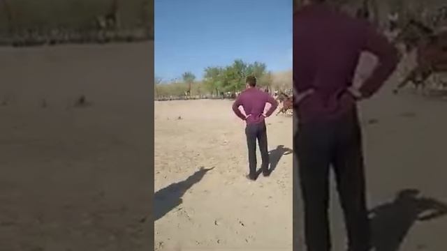 Тараз қаласы Аққұм ауылы 09/09/2820ж Аламан бәйге 1-Алімбек шымкент 2-Ерсін тараз 3 Балмухан аққұм смотреть онлайн