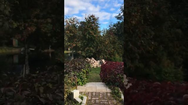 Гостевой дом «Riverbank» смотреть онлайн