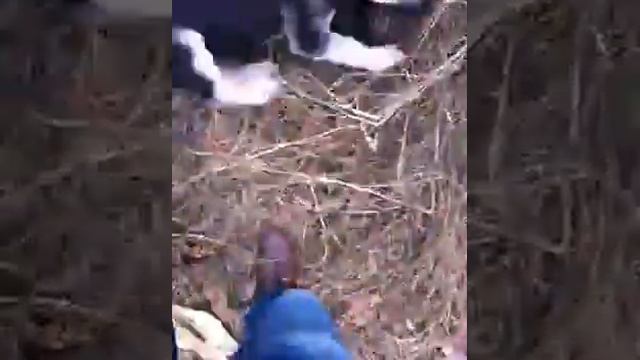 Вео Gavrosha 21.10.2011 by casembako смотреть онлайн