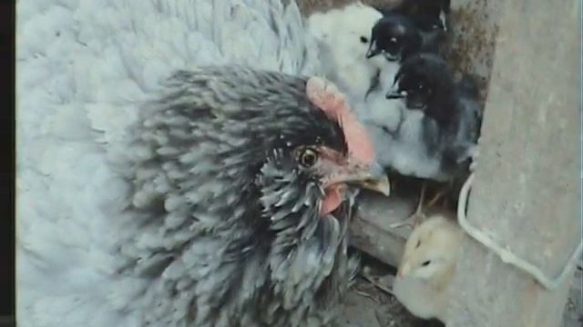 Человек- Метро. Талдом смотреть онлайн