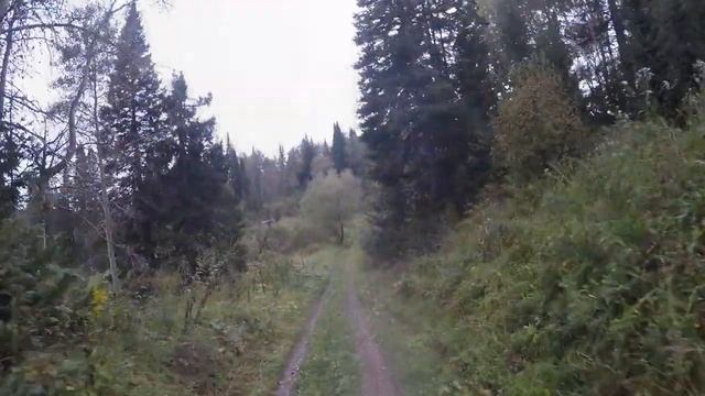 новые места на Квадрацикле Yamaha Grizzly 700 смотреть онлайн