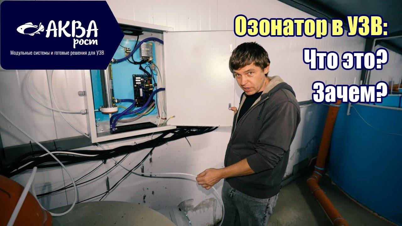 Что такое озонатор и зачем он в УЗВ #система #узв #рыба #акварост #форель #осетр #озон