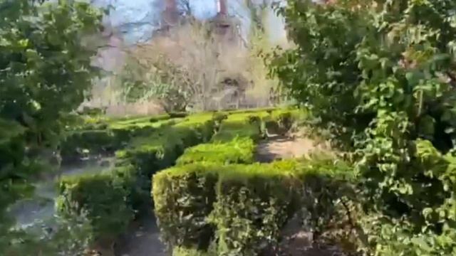 БОТАНИЧЕСКИЙ РАЙ В БУХАРЕСТЕ! ЗЕЛЁНЫЙ ЛАБИРИНТ! смотреть онлайн