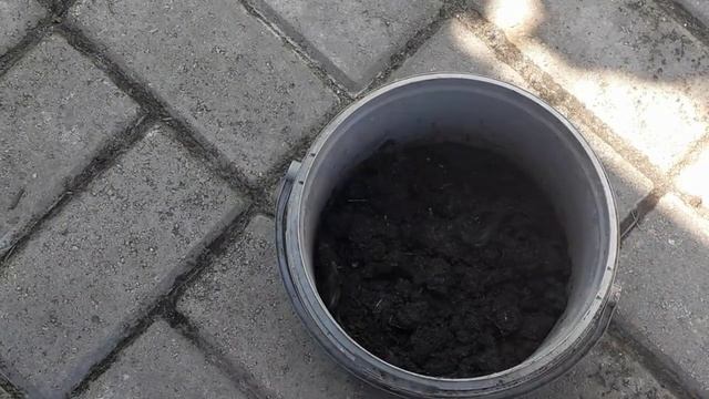 Как хранить Медведку для рыбалки