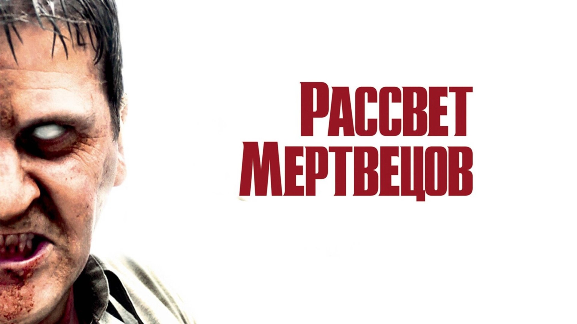 Рассвет мертвецов | Dawn of the Dead (2004) смотреть онлайн