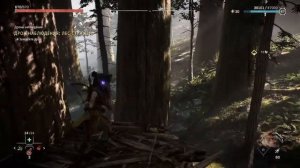 Horizon Запретный Запад - [#16] Дрон наблюдения: лес стражей (2022.03.04.233853)