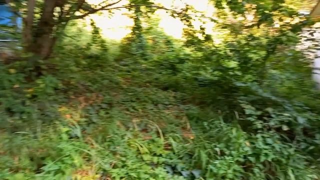 Сочи заброшенный пансионат времён СССР "Утро" смотреть онлайн