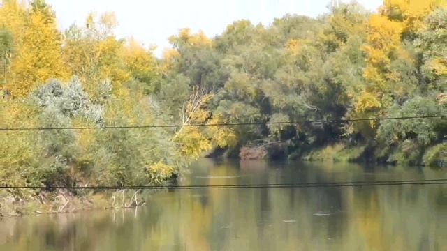 «Весь Рубцовск™»: Солнечная осень смотреть онлайн