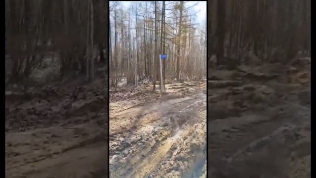 Дороги Якутии. Ленск-Мирный смотреть онлайн