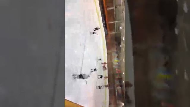 AnyaLady Женщина не танцую смотреть онлайн