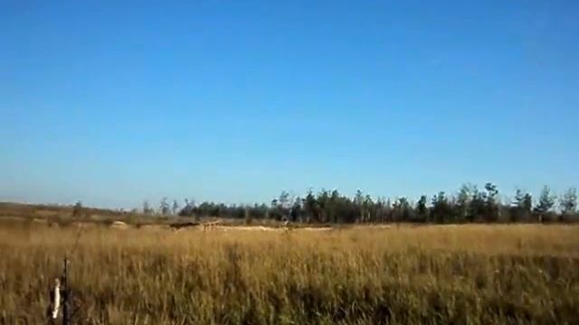 сравнительный отстрел дробовых патронов Группа Рысь НН смотреть онлайн