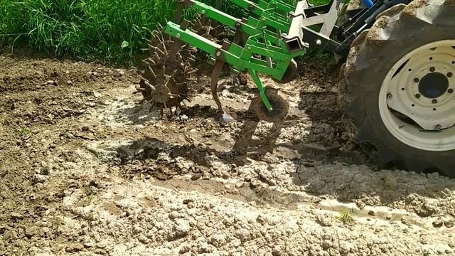 Друга прополка картоплі їжаками. Прибираємо бур'яни. Обробка міжрядь картоплі їжаками вдруге смотреть онлайн