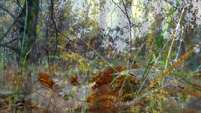 Осень в Заречном. Зарисовка. г. Железногорск. 2017 смотреть онлайн