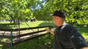 Адыгея. Куда поехать и что посмотреть? Показал лучшие достопримечательности Республики.