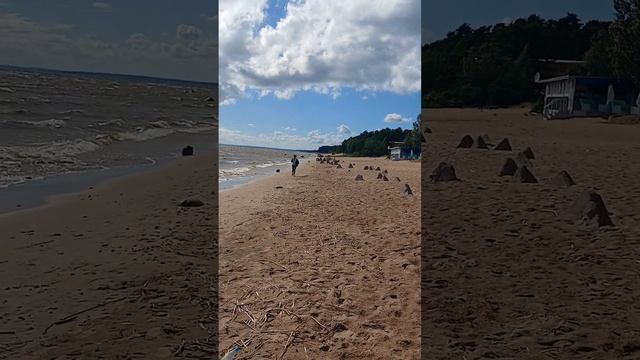 Санкт-Петербург, Финский залив, Репино, ресторан Чайхона Лев Васильев 06.07.24. смотреть онлайн