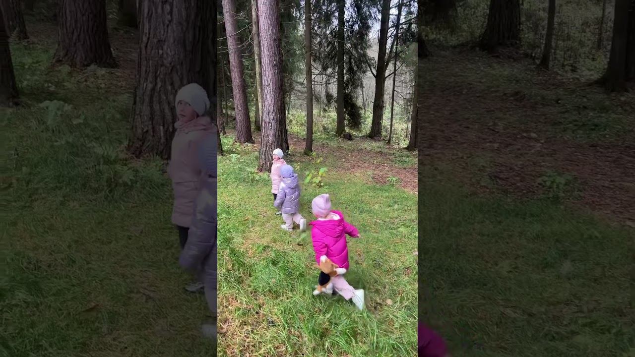 Зайцы #дочки #многодеточки #лес#мамаблогер #многодетнаясемья #сестры#близняшки#тройняшки смотреть онлайн