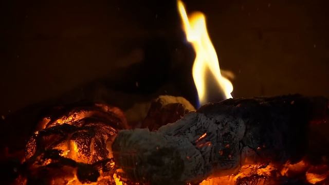 ОНИ ПИТАЮТСЯ ЛЮДЬМИ - Страшные истории на ночь | Мистика | Ужасы смотреть онлайн