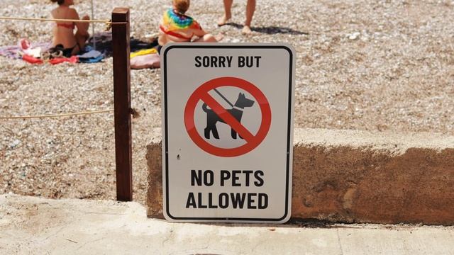 Лучшие пляжи Черногории 2025 (секретные места) смотреть онлайн