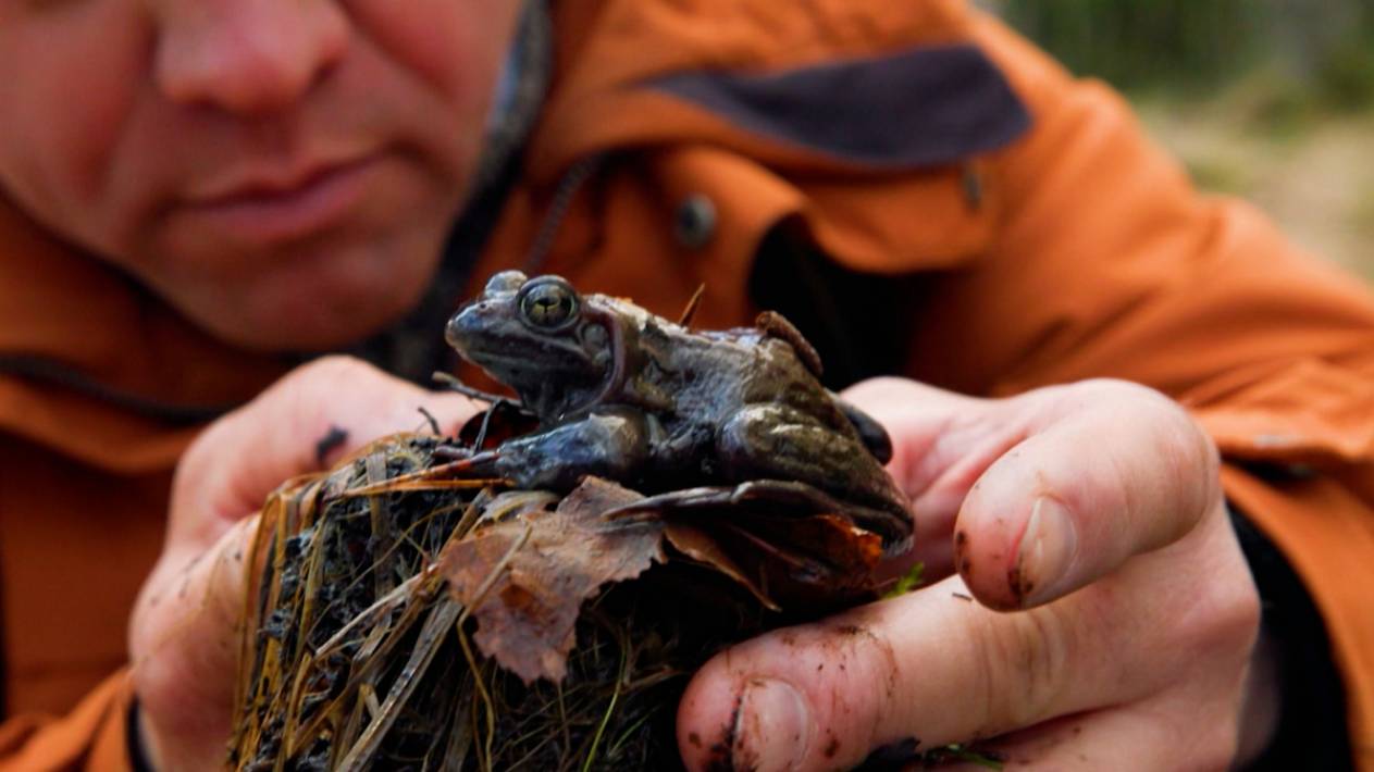 Дикие выходные с Павлом Глазковым. 19 апреля