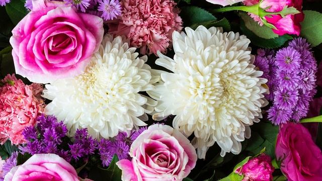 Весна - Цветы - Бетховен