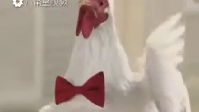 Мир света смотреть онлайн