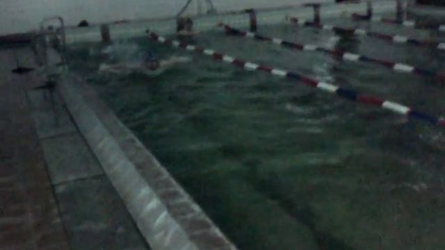 Дельфин 50 м Butterfly swimming плавание смотреть онлайн