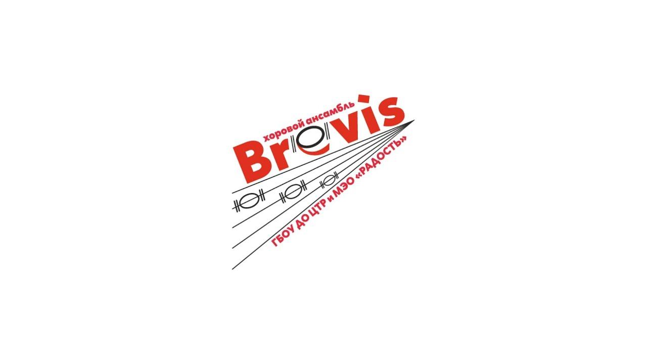 Хоровой ансамбль «Brevis» Центра творческого развития «Радость» смотреть онлайн