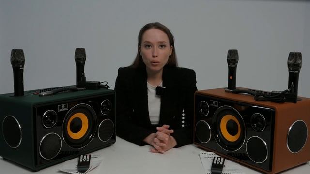 NOIR-audio MAX-300 акустическая система с двумя беспроводными микрофонами и колонкой 300 Ватт. Обзо смотреть онлайн