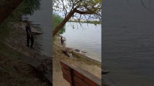 Турбаза Дон х.Вертячий