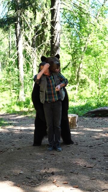 Bear Tom. #bear смотреть онлайн