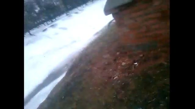 Сталк в Великом Новгороде #1 смотреть онлайн