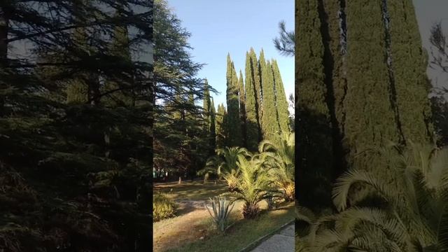 Дом отдыха Псоу Абхазия Цандрипш обзор территории смотреть онлайн