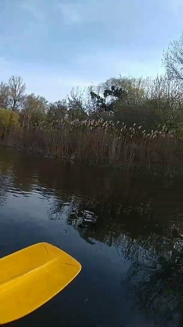 Коробовы хутора из Байдарки. Май 2021 смотреть онлайн