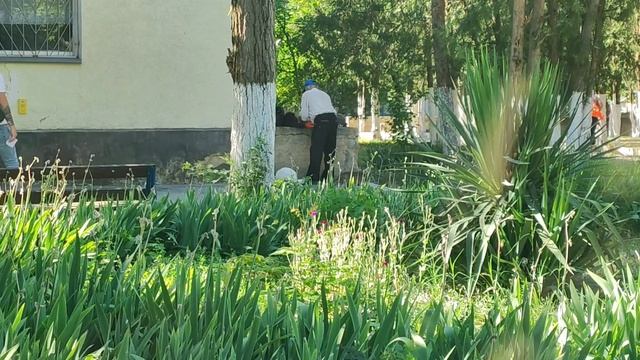 ЖИЗНЬ В ДОМЕ ЗА ГОРОДОМ/ЗАКАЗ ОЗОН/РАБОТА, УБОРКА, ОГОРОД, ОТДЫХ НА МОРЕ/ВОЛОНТЁРСТВО/ОВОЩНОЕ РАГУ смотреть онлайн