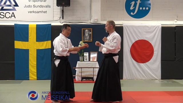 7 Aikido Katadorimenuchi Ikkyo Omote, Tsukuri, Shishiya Sensei Sundsvall 2015