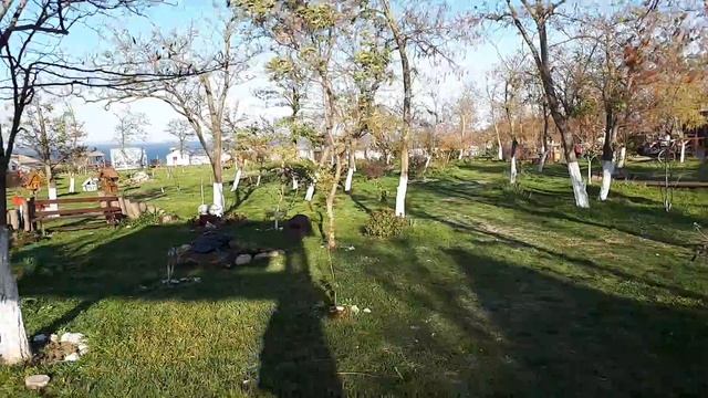 Краевой праздник "День станицы Атамань 2018" смотреть онлайн