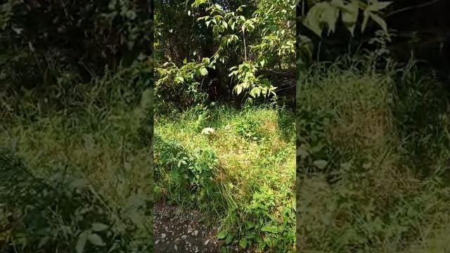 Наталья Соклакова в прямом эфире! смотреть онлайн