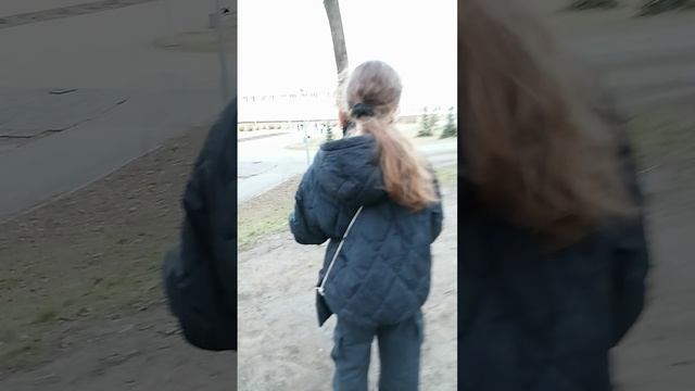 Покрышки со свалки