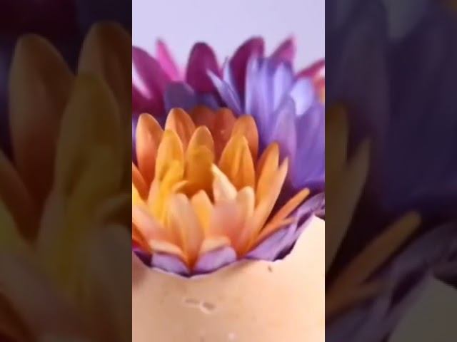 #смешнойшортс#пасха#нейронина#ржака#блогер#al#шуточное # смотреть онлайн