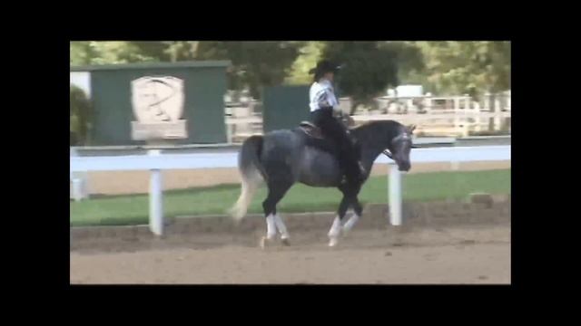 Posh, Oh You Beautiful Doll, LOH смотреть онлайн