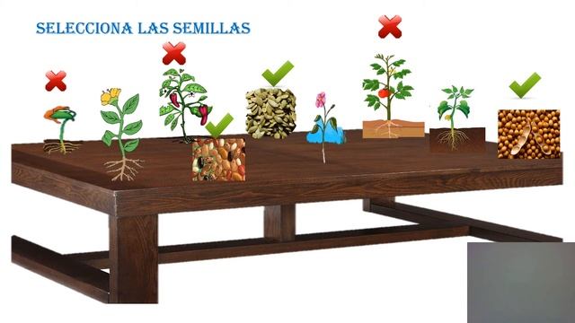 MATERIAL EDUCATIVO VIRTUAL CON PPT PARA EL AREA DE CIENCIA Y TECNOLOGIA смотреть онлайн